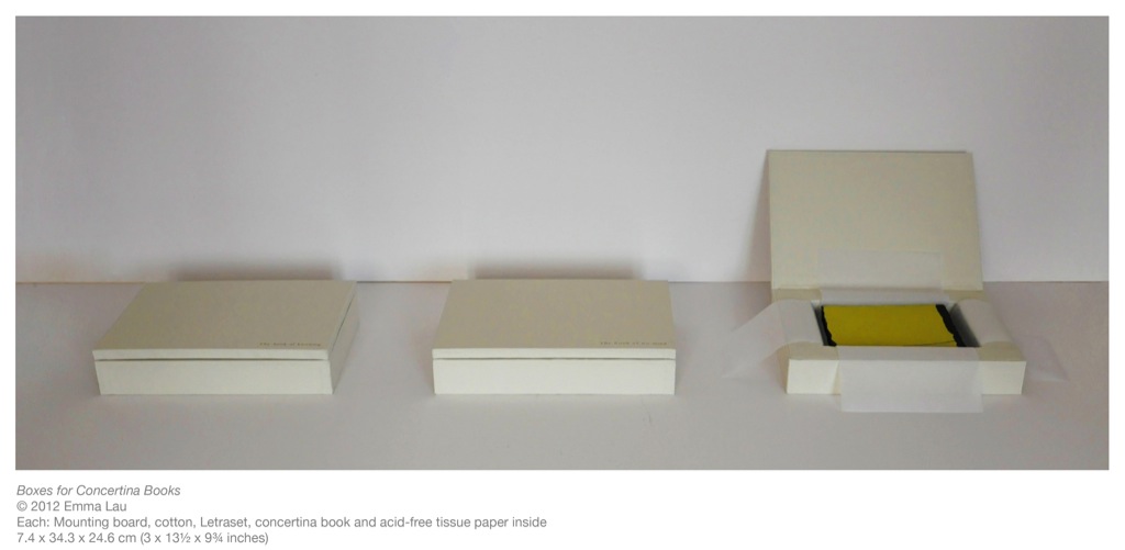 Boxes for Concertina Books