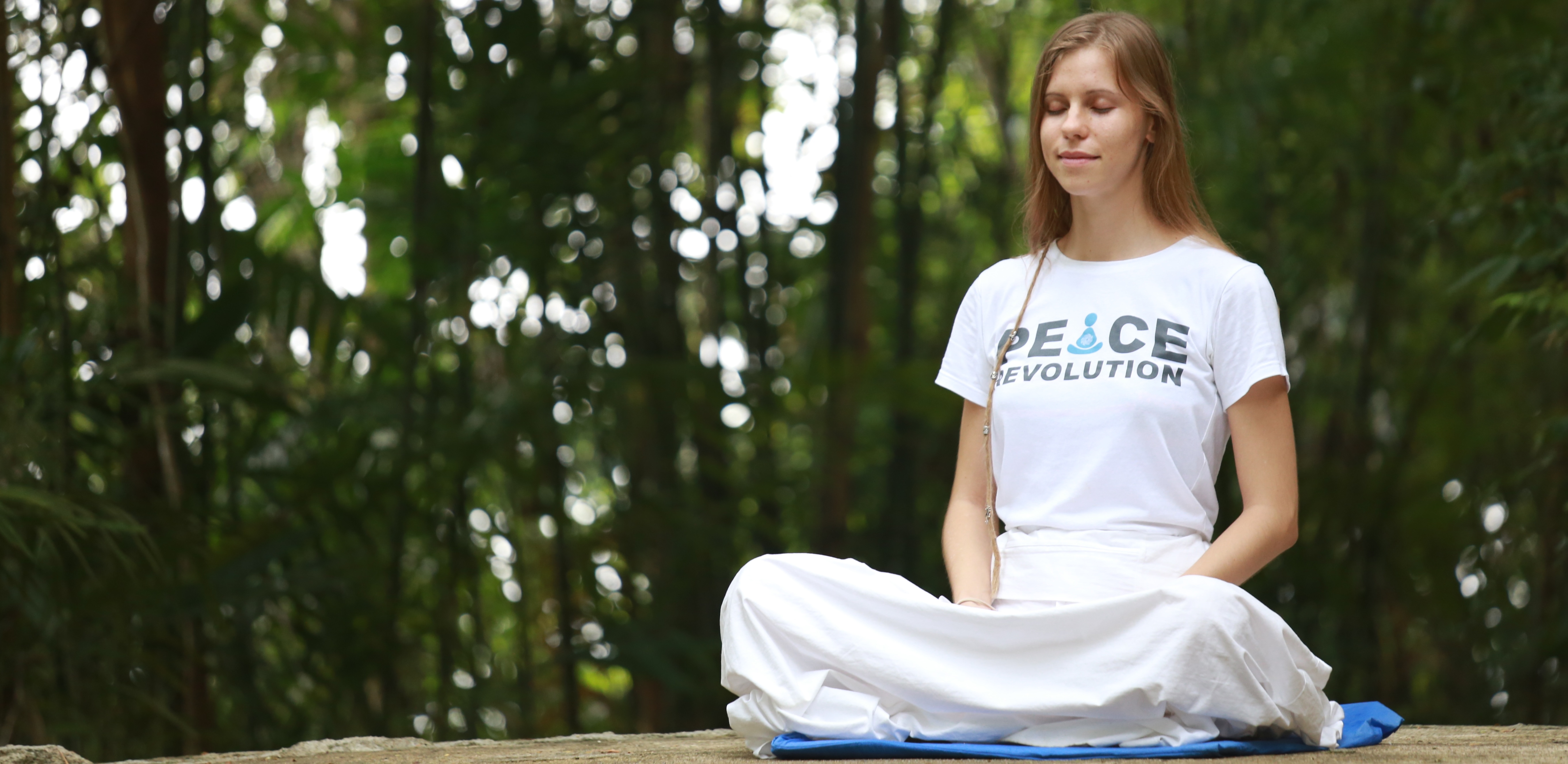 Meditation and Motivation