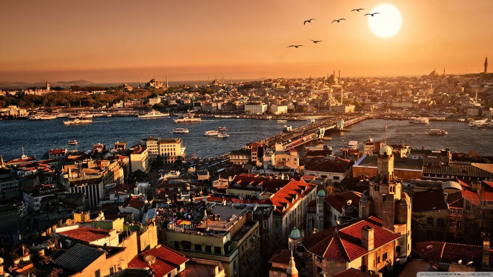 MENA Youth, it’s time for a New Revolution, a Peace Revolution