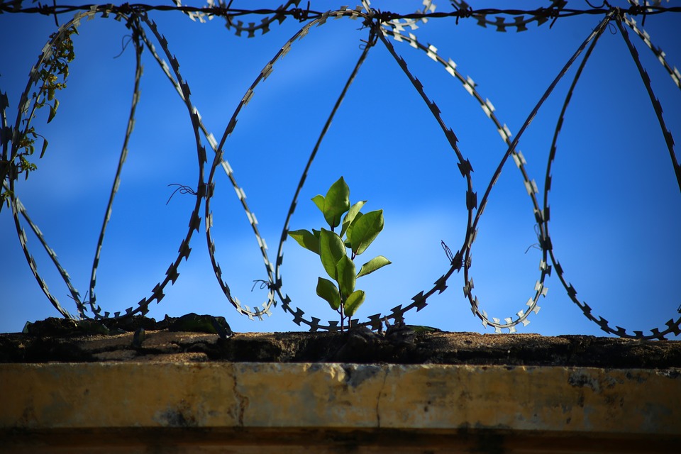 Finding Peace After Prison: How You Can Help