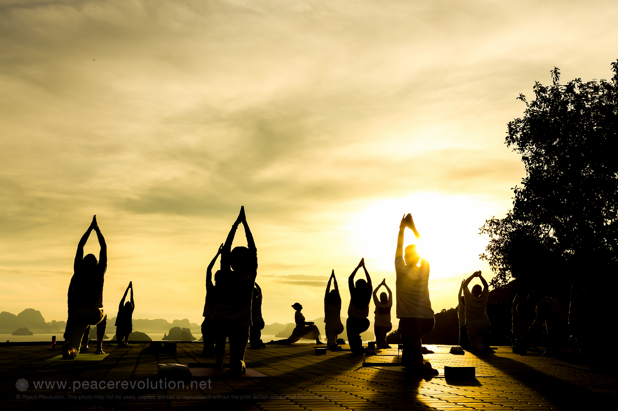 How Suzane Learnt To Meditate And Met New Friends