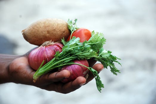 Eating Healthy On A Budget