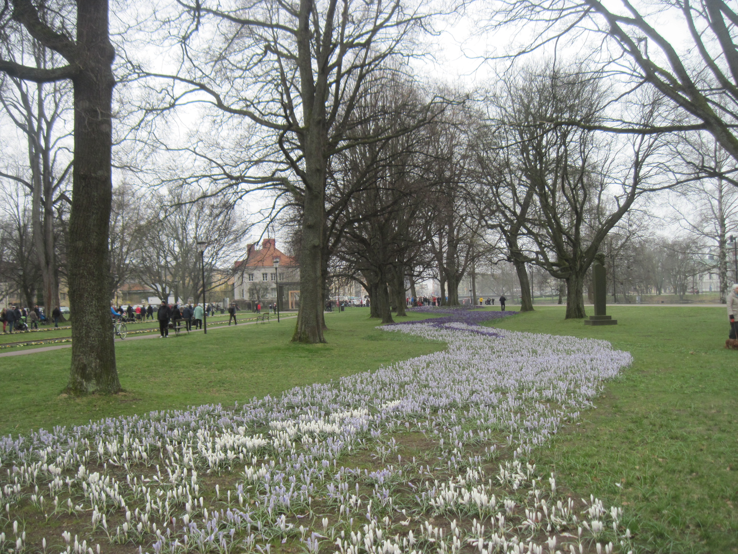 Arrival of Spring, Karlstad, Sweden