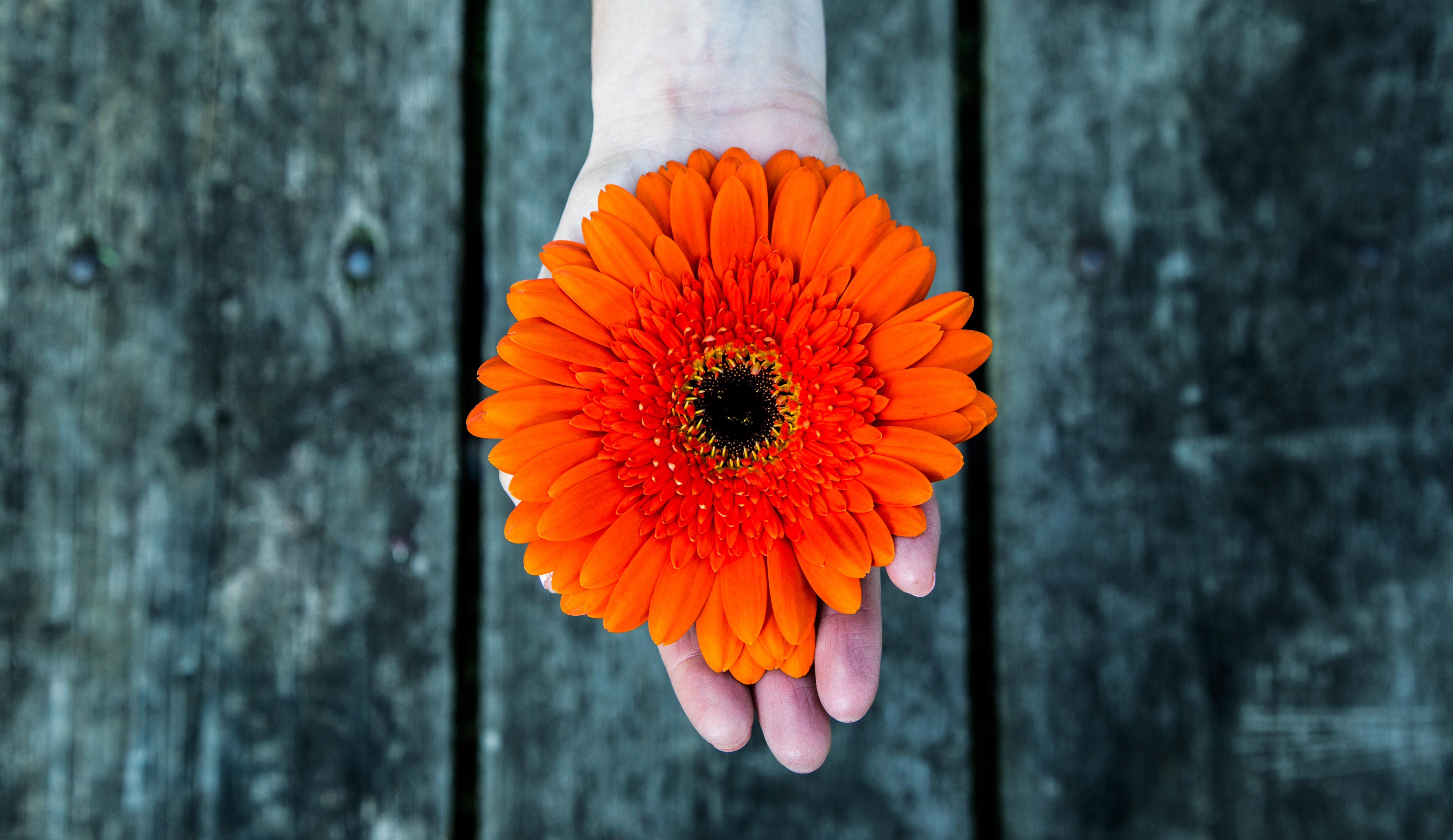 Can We Train Our Brain for More Empathy and Compassion?