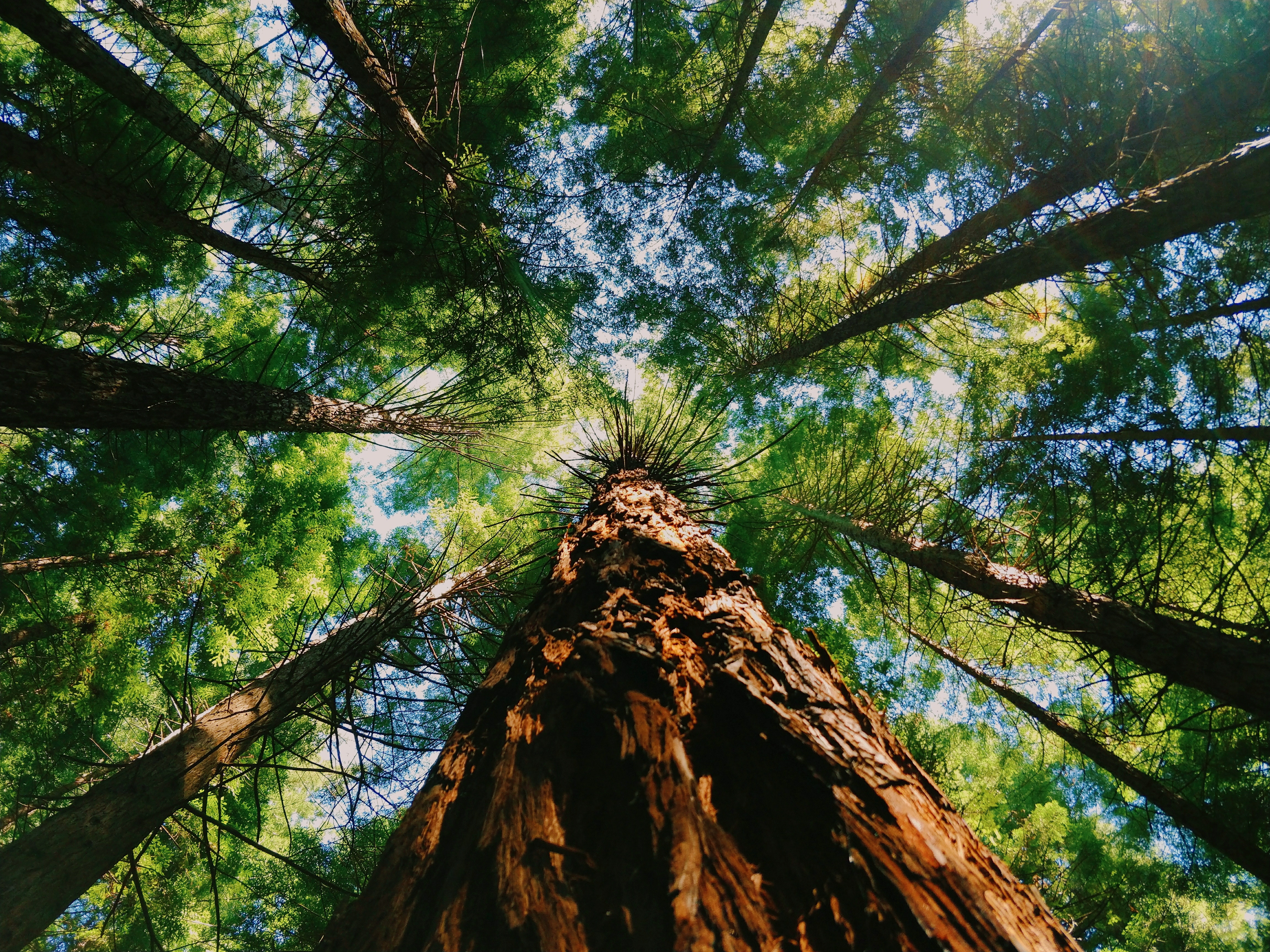 Photo by Ryan Wan on Unsplash