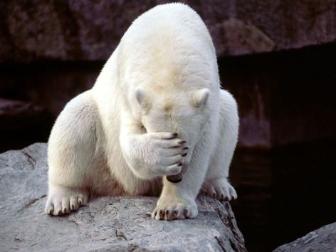 Is Self-Blame Safe to our Mind?