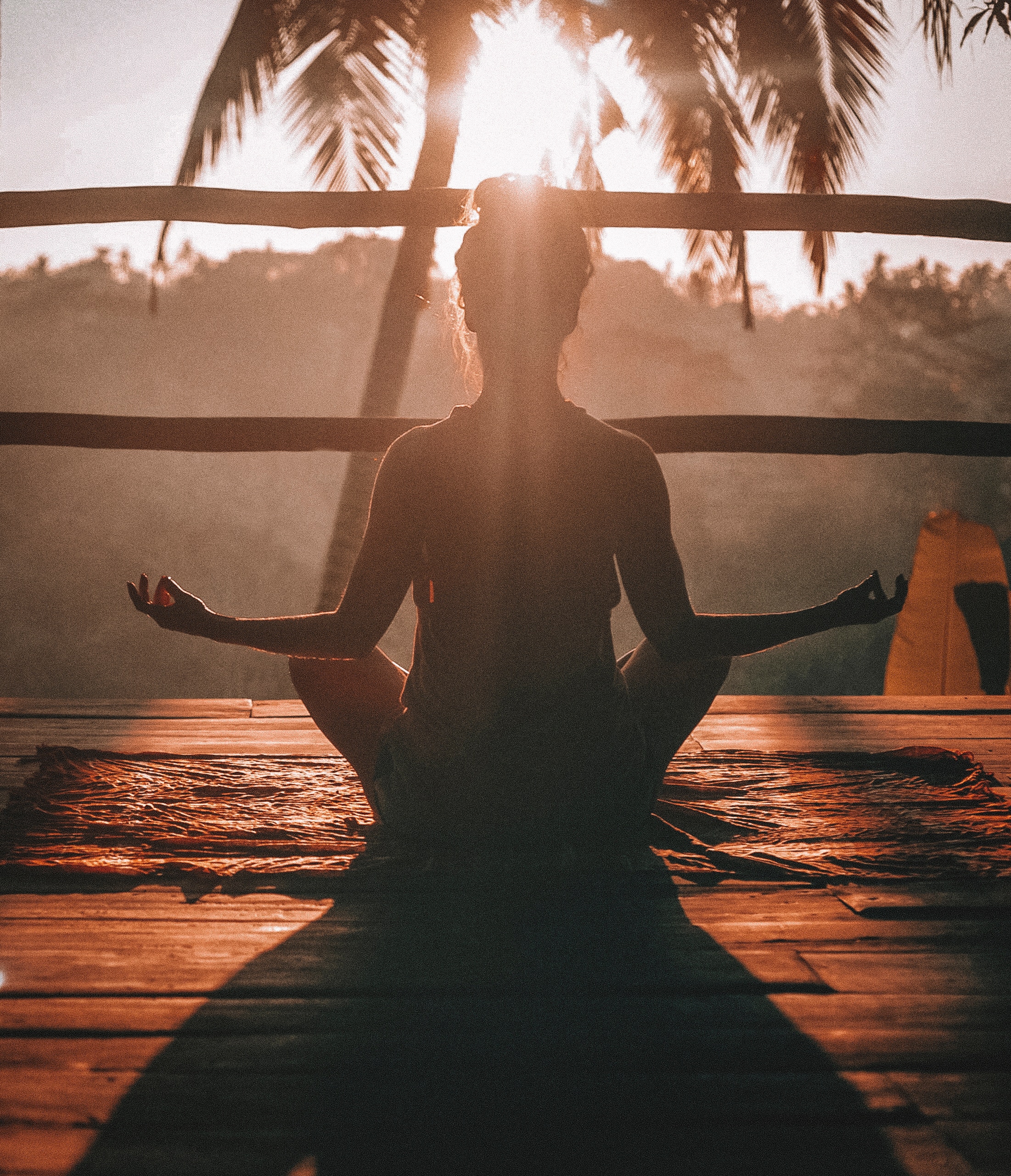 How to Grow Healthy Relationships in the Garden of Life?