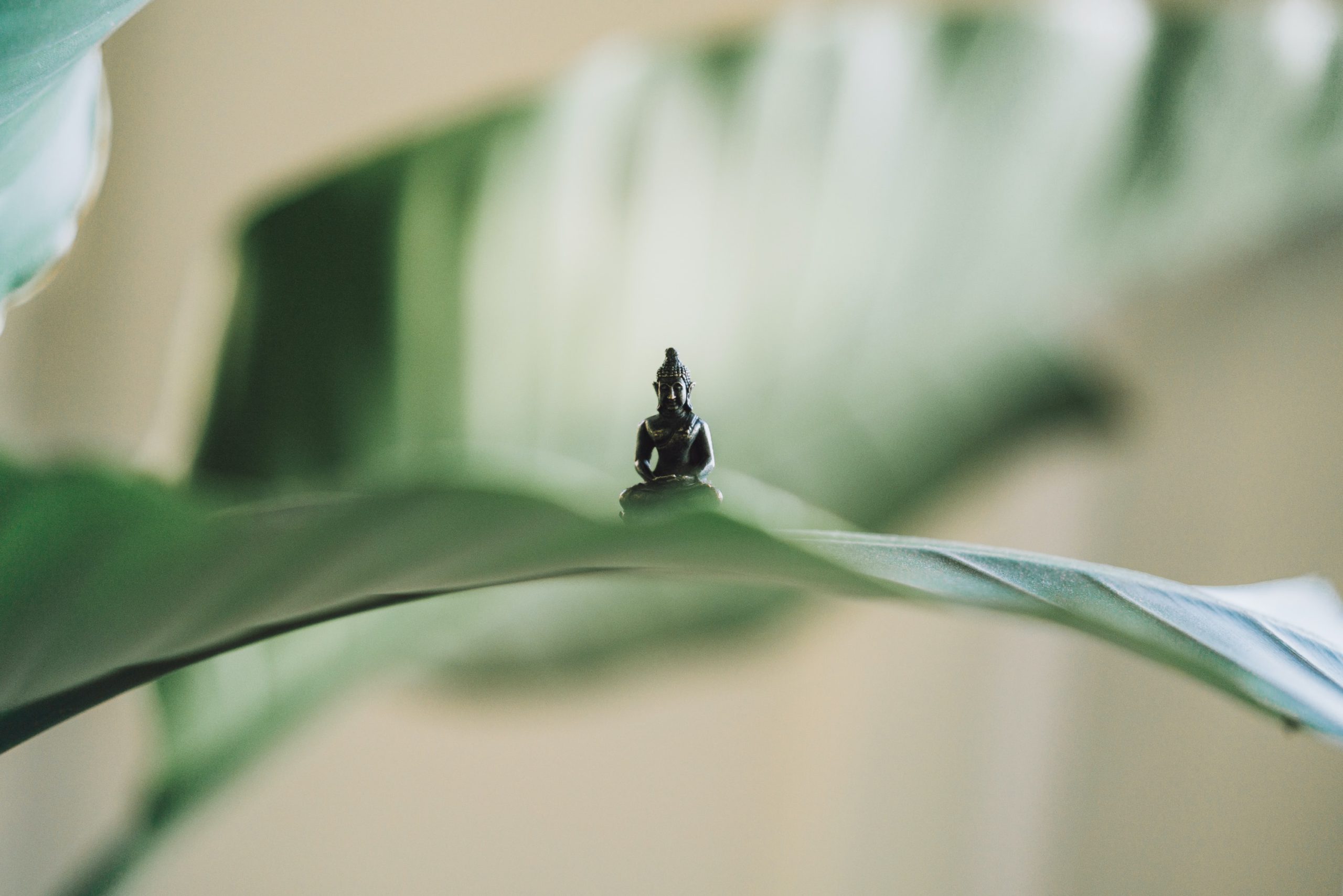 Meditation: your best route to peace of mind today
