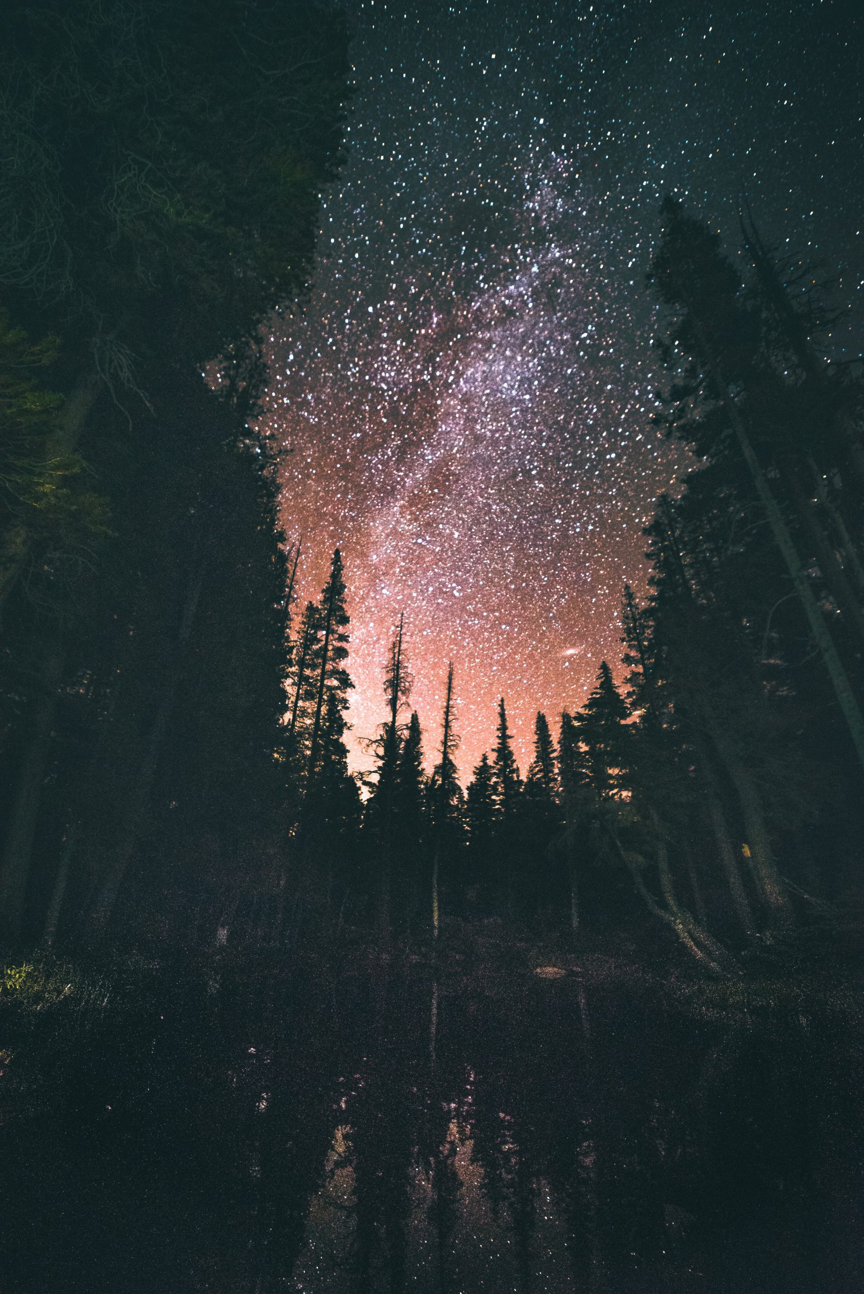 La naturaleza de la conciencia es estar en comunión con el universo