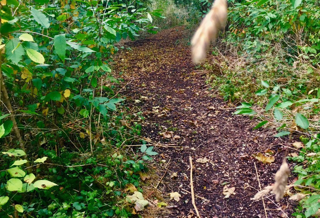 Walking barefoot: a direct way to reconnect with the Earth