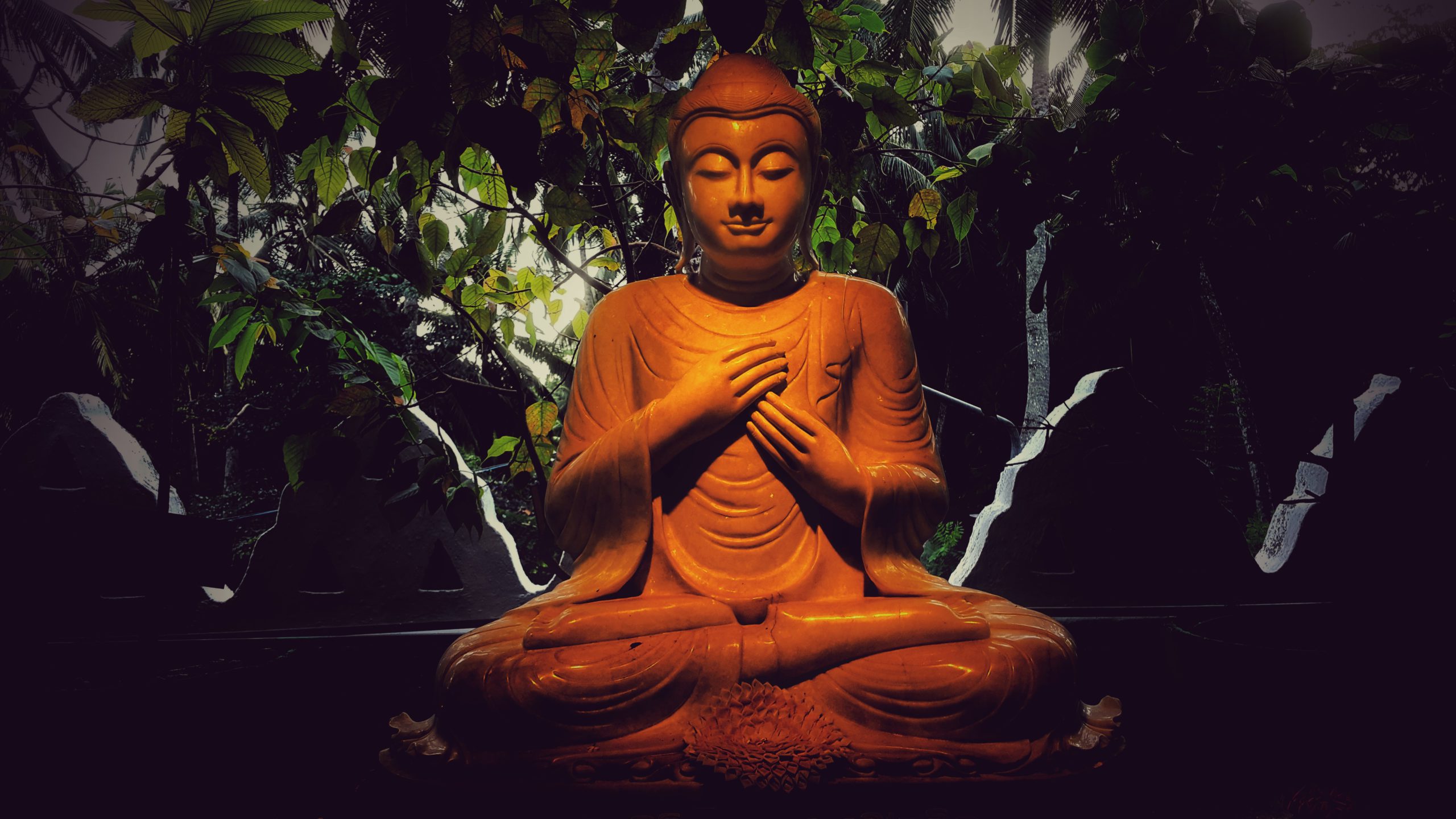 A psychological view of karma - part 1: Karma as volition