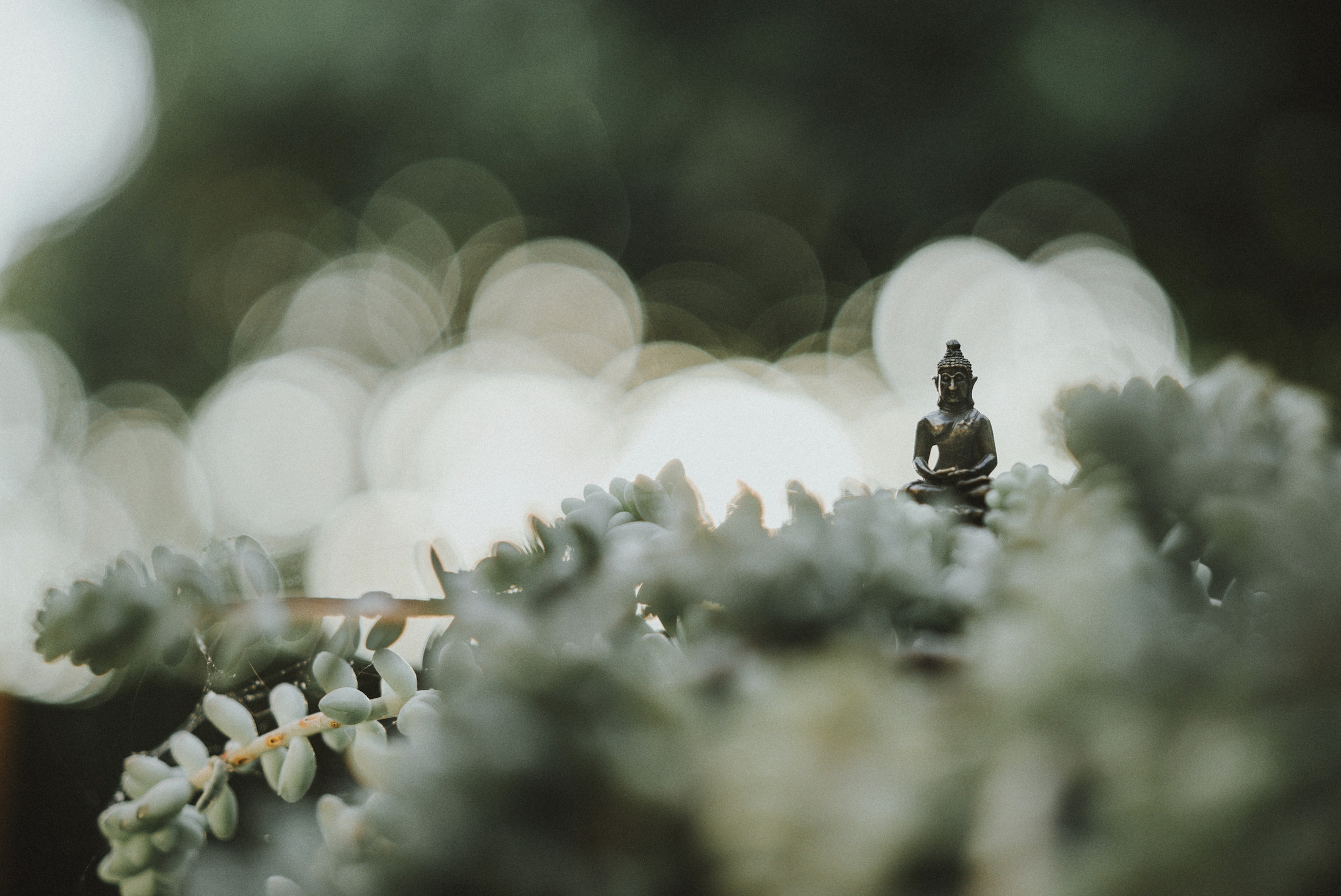 A psychological view of karma - part 2: Karmic effects