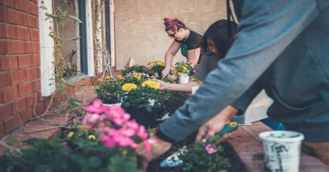 How to Harness the Healing Power of Plants: A Guide to Gardening for Mental Health