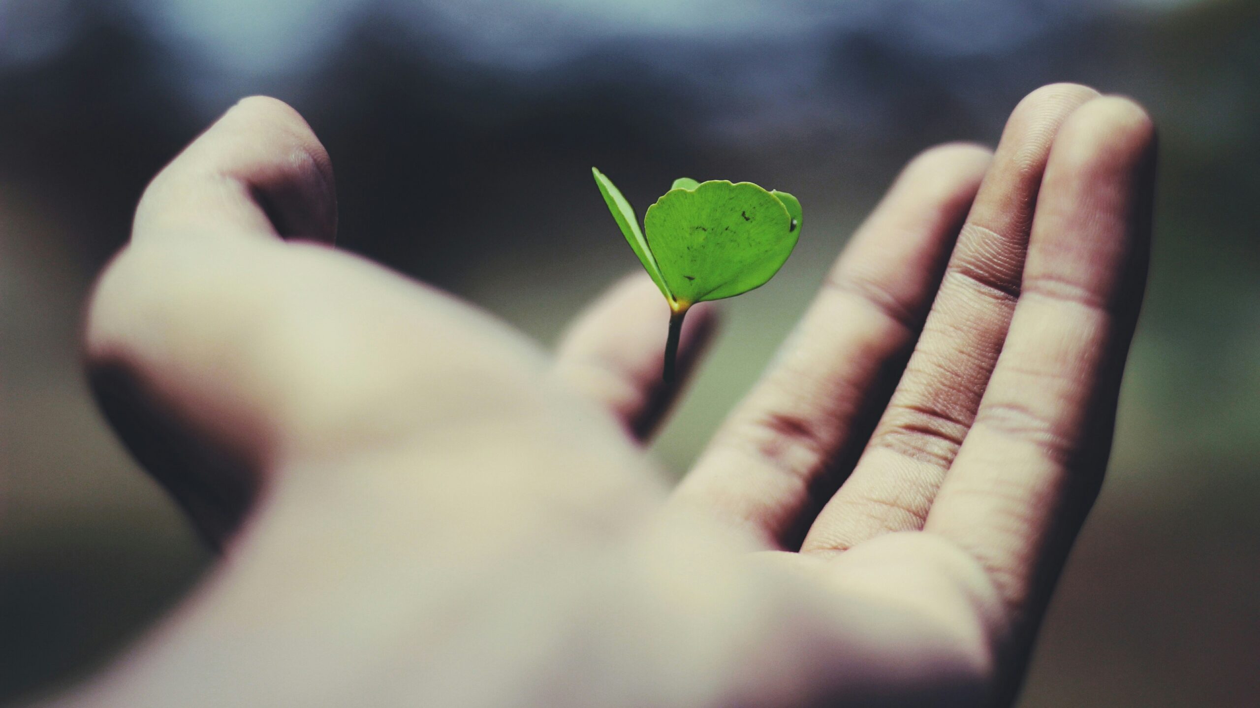 Turn Your September Weekends into a Growth Experience