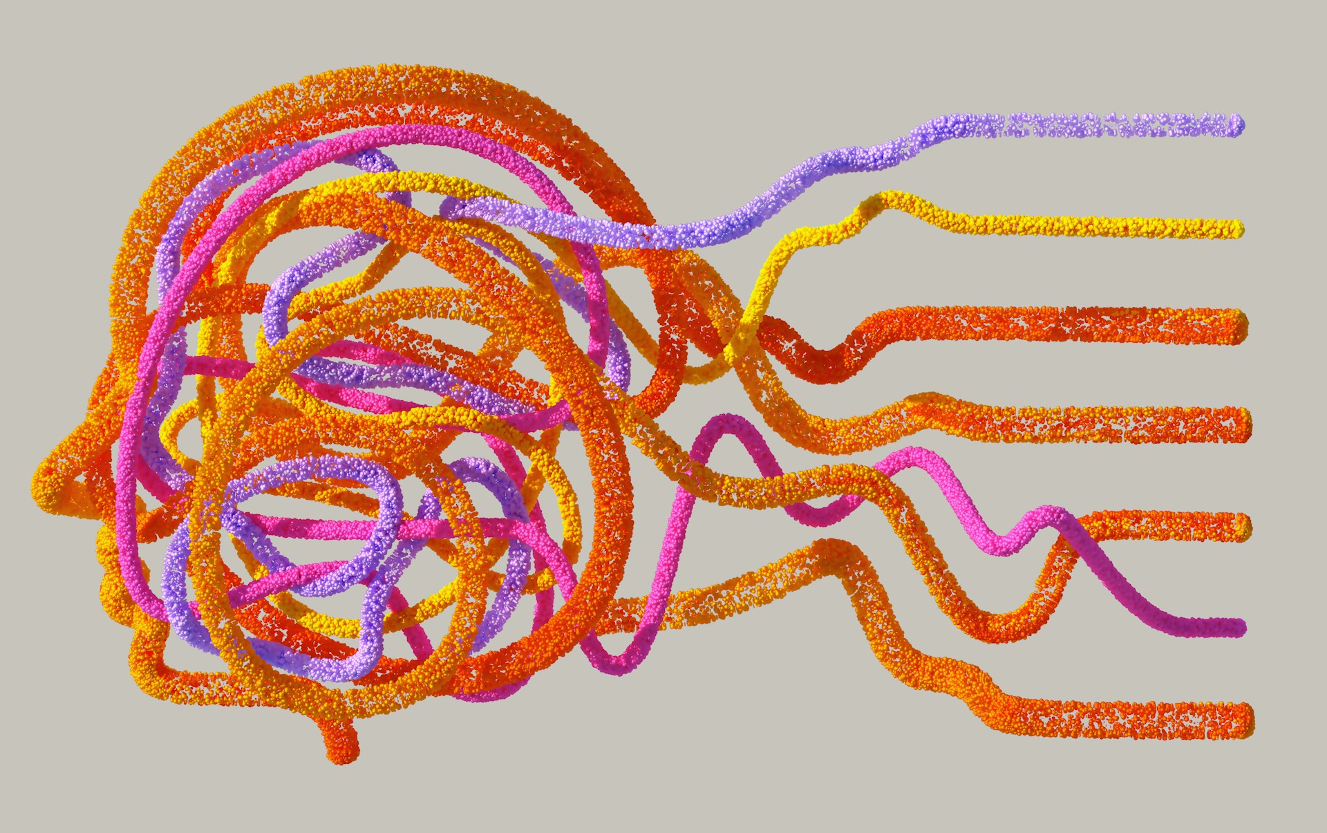 What Are the 9 Most Common Diseases of the Nervous System?