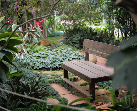 Meditation practice outdoors