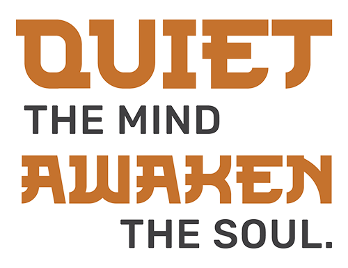 Disconnect to Reconnect Logo