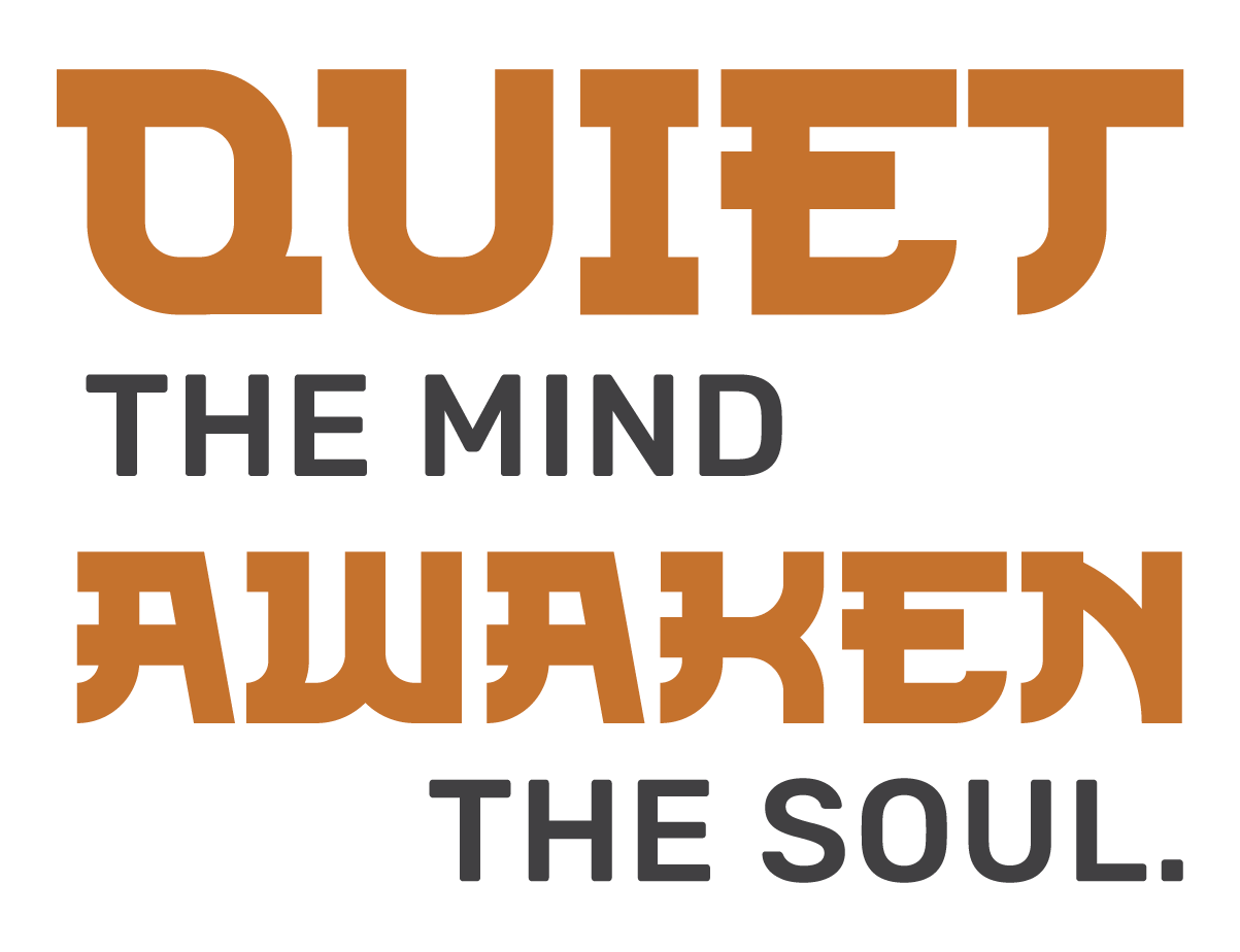 Disconnect to Reconnect Logo