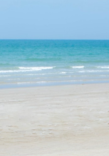 Release the Past, Embrace the Present