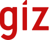 GIZ International